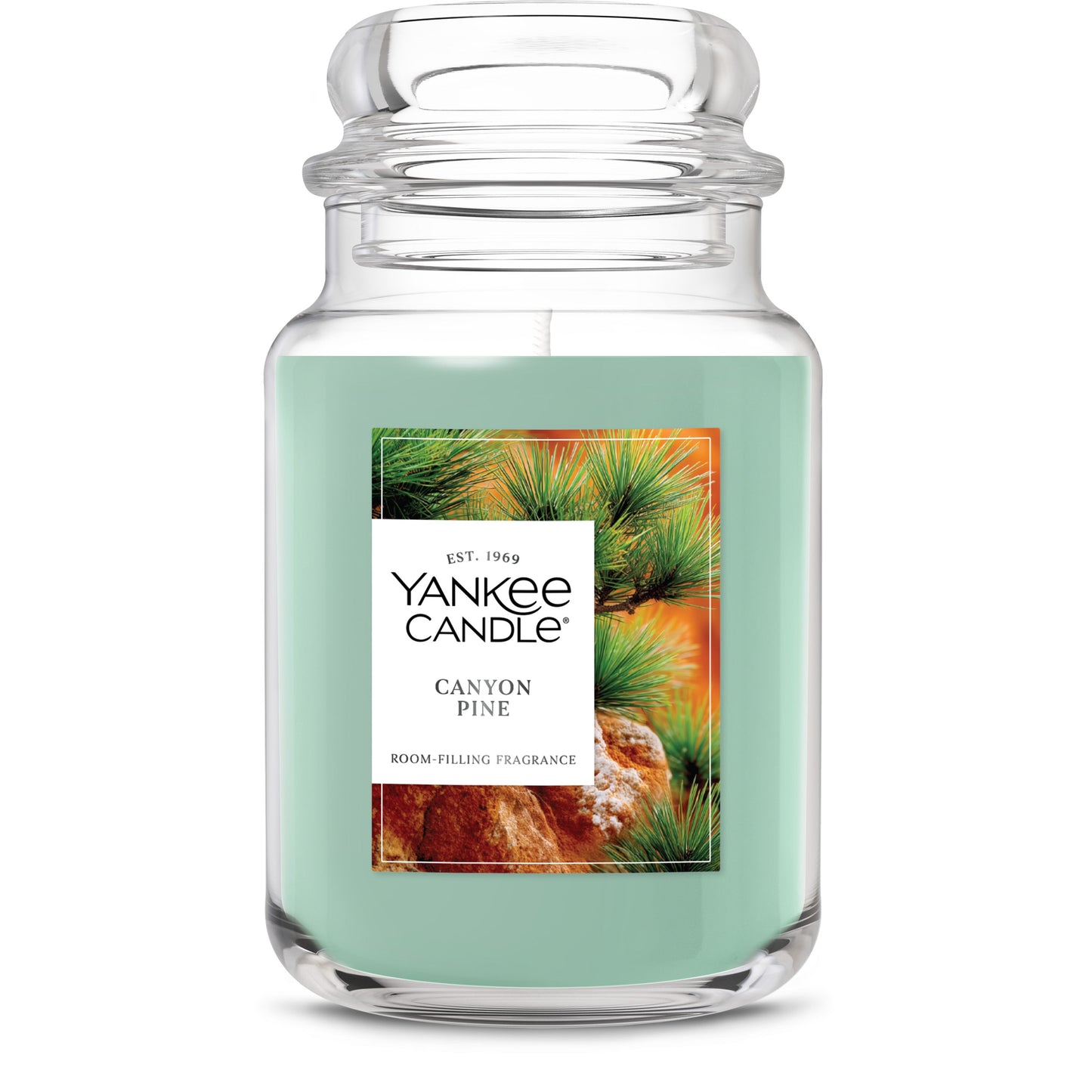 Canyon Pine Daily 8-0380