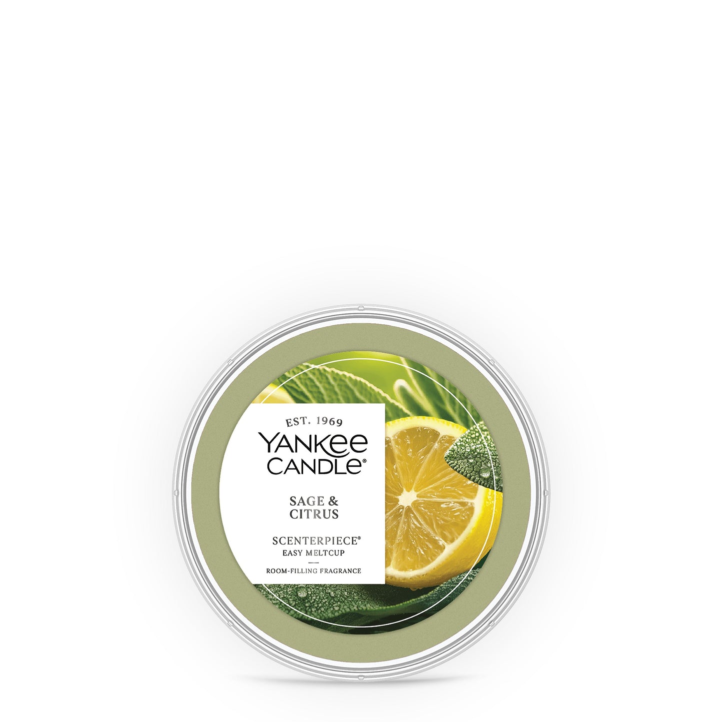 Sage & Citrus Studio 8-0208