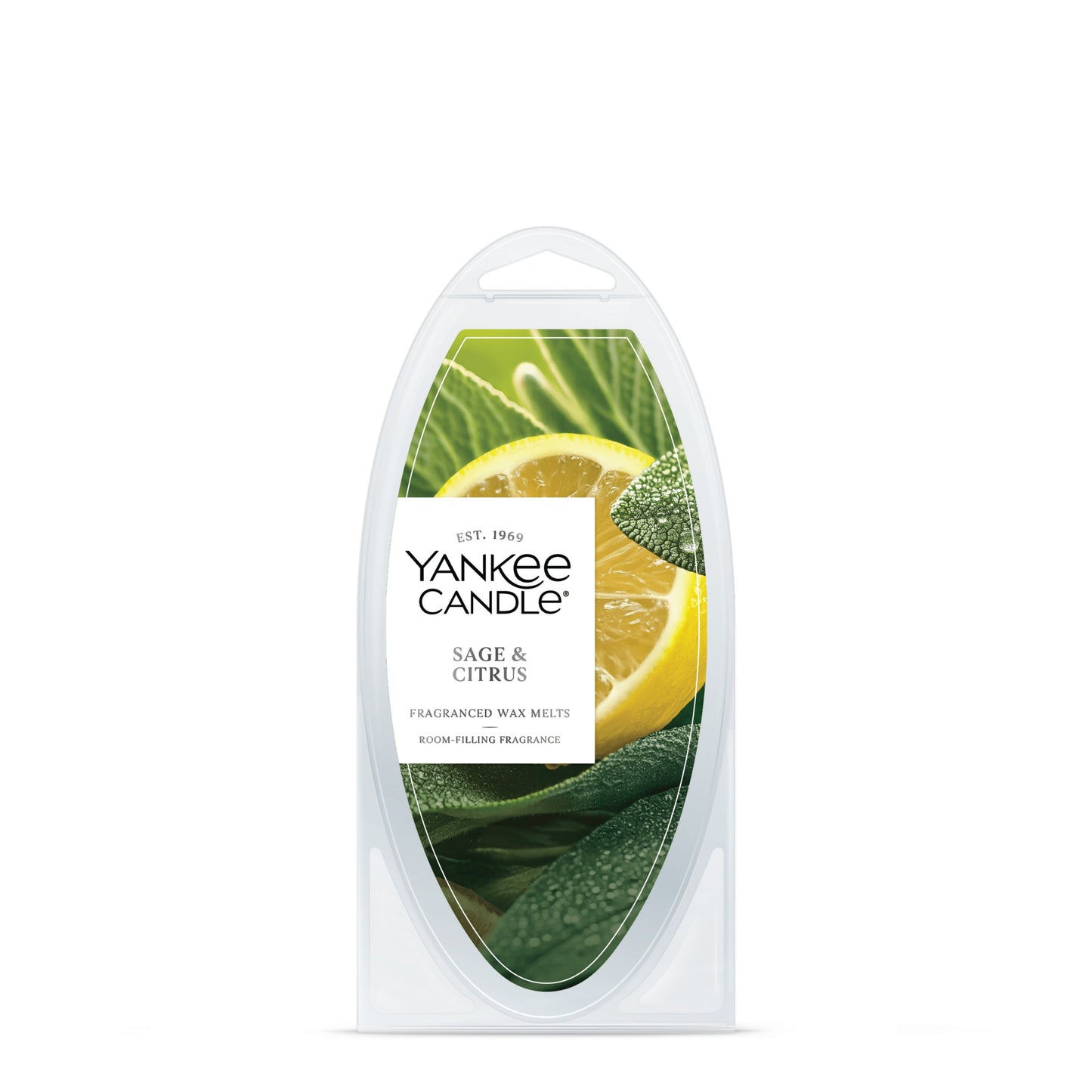 Sage & Citrus Studio 8-0788