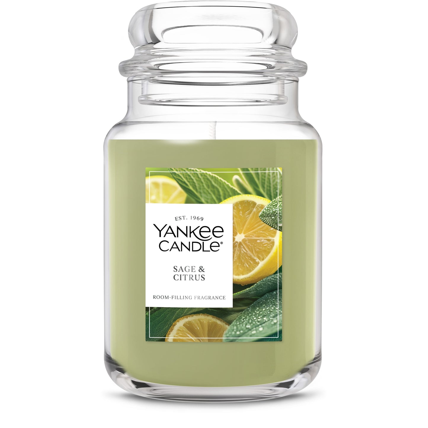 Sage & Citrus Studio 8-0208